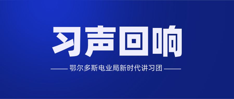 习声回响|战"疫"一线的10种鄂电力量