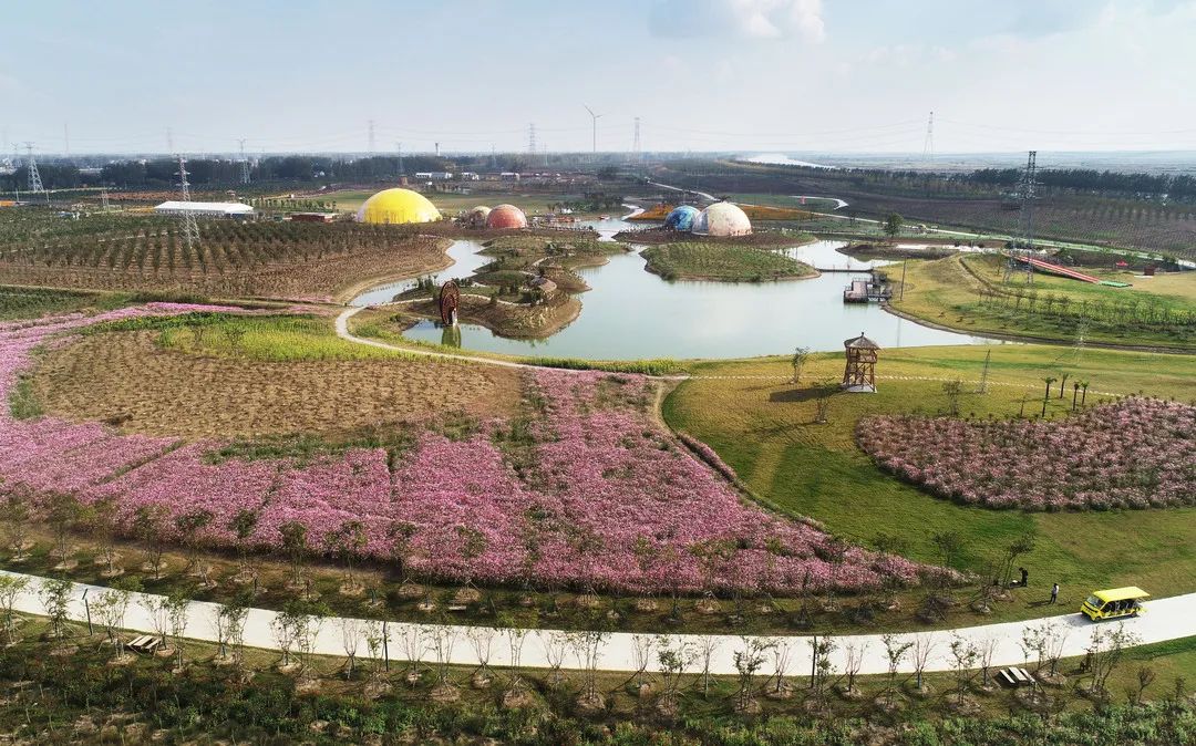 金湖县主要领导现场推进一季度重点旅游项目