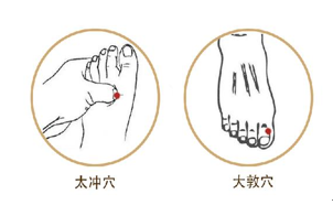 第20个全国爱肝日丨一看即会的中医护肝小秘方