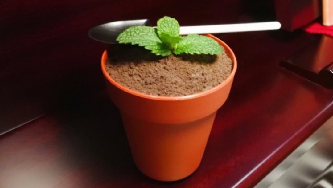 坚果怎么选才正确 db1613949051465b818e12075593b519.jpeg