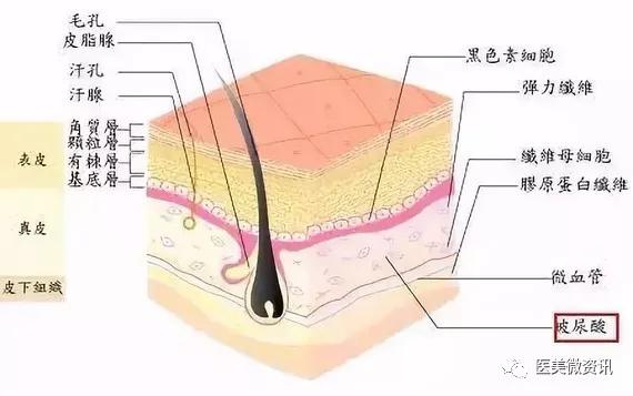 水光的原理_水魔方无针水光原理 无创水光效果比水光针好