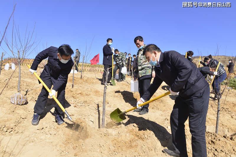 全民义务植树建设绿色家园山西交城开展植树造林活动