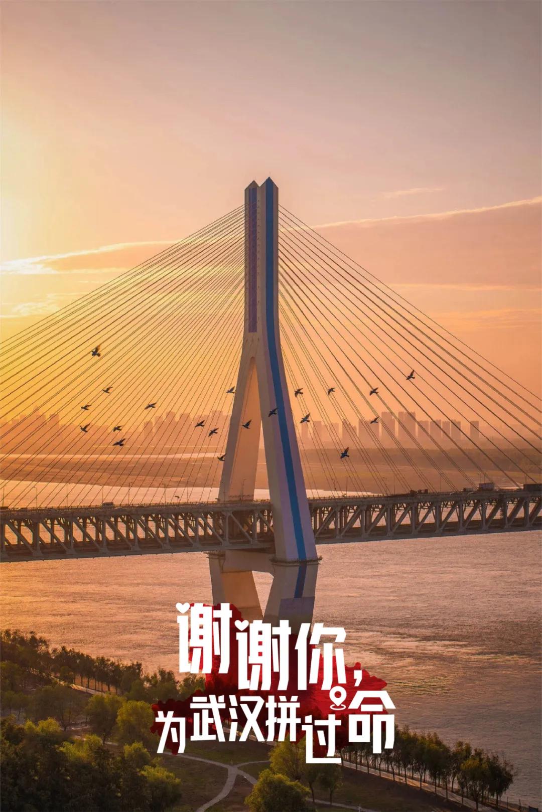 武汉32张海报送别救援队，致敬与致谢该有的样子