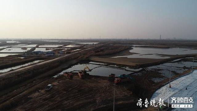 东营市垦利区经济总量_东营市垦利戴景鹏(2)