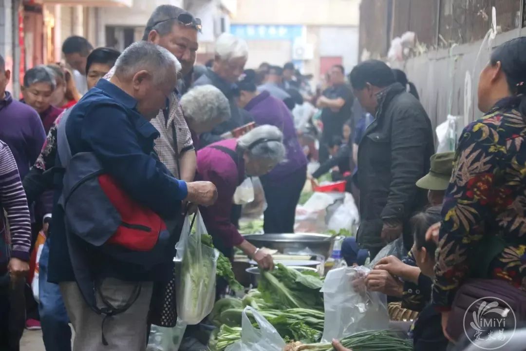 米易县有多少人口_有一种骄傲,叫我是米易人(3)