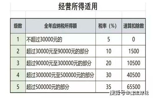 申报个税人口_2020个税申报步骤截图(3)