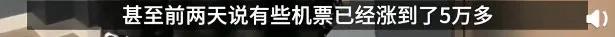 “我，留学生，求别骂我投毒巨婴”（图文）