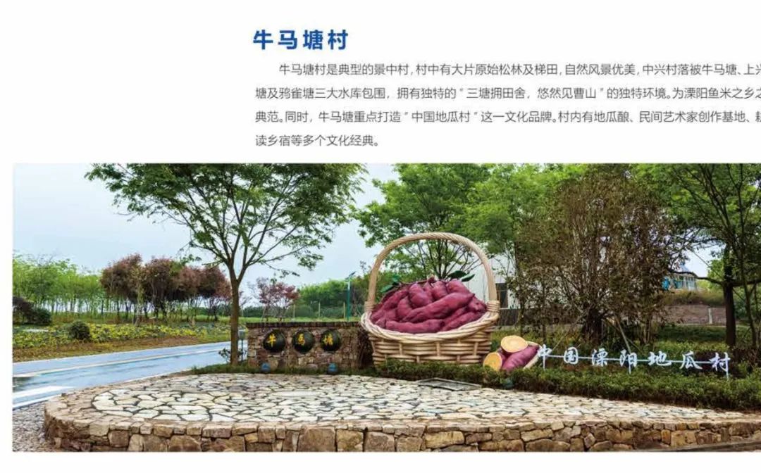 特色旅游资源,杨家村,礼诗圩,牛马塘村等省级特色田园乡村如珍珠散落
