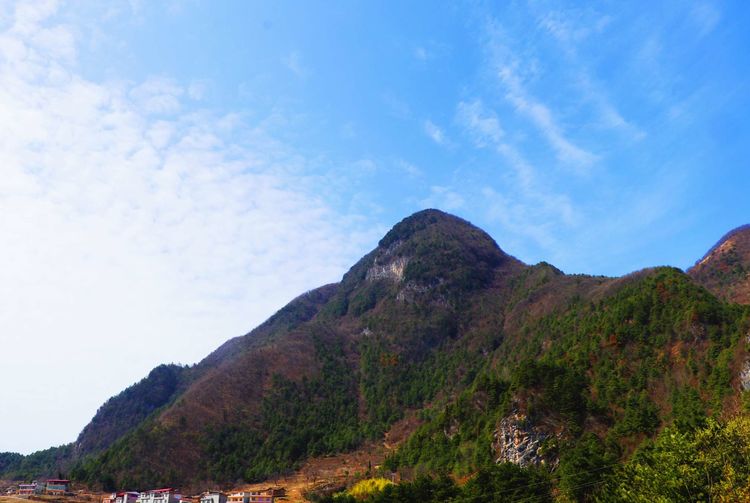 原创旬阳春到羊山