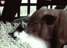 黄夏温套路表情包|我朋友都看见了