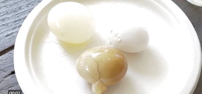 茶匙:孩子的牙怕是等不到开学了......