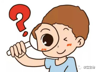 一点儿一点儿是叠词吗 44d10db5d9da48fc961931bf6eb9ddf6.png