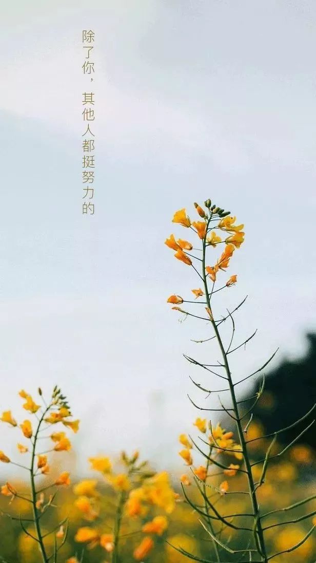『人生』只是想想而已致学生：不要让你的梦想