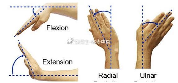 宅在家里咋锻炼苏州体育陪你练95一起来增加腕关节灵活性