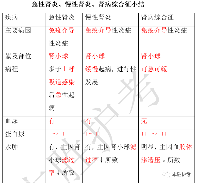 本胜护考急性肾炎慢性肾炎肾病综合征小结