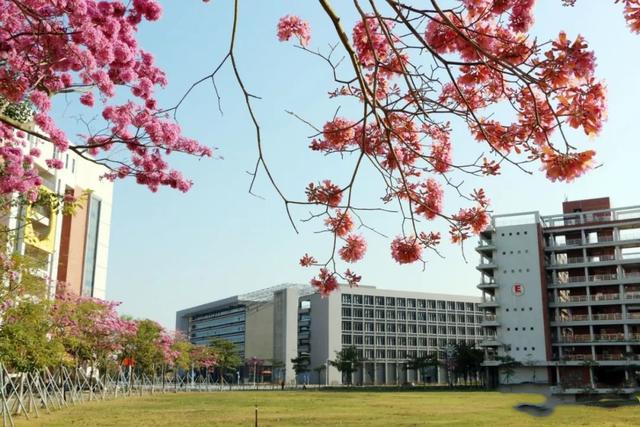 『录取分数』2019年各专业录取分数是多少呢这所百年师范学院