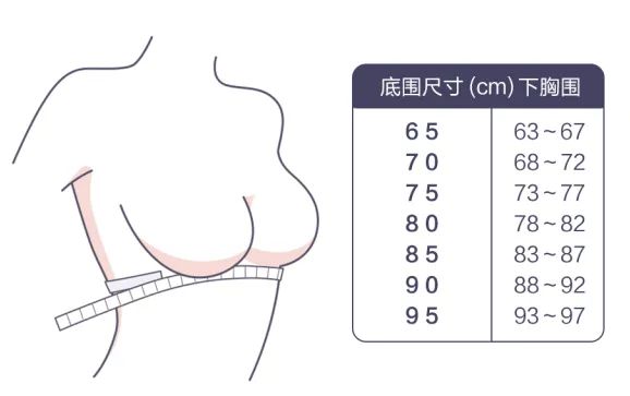 内衣size是什么意思_胖次是什么意思图(3)