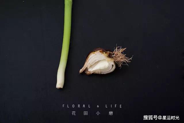 鲜花养护小知识_鲜花养护保鲜法_鲜花养护