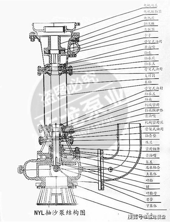 临龙泵业nyl抽沙泵结构图