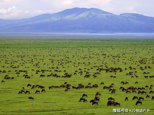 人生一定要去的100个地方·(01)塞伦盖蒂草原旅游攻略