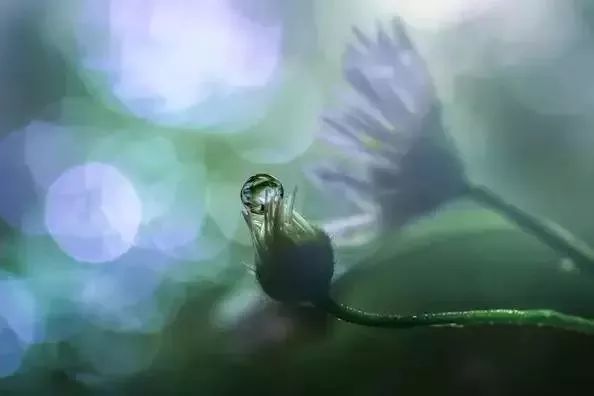 810f04154c6c4db8a06808348df25cff.jpeg
