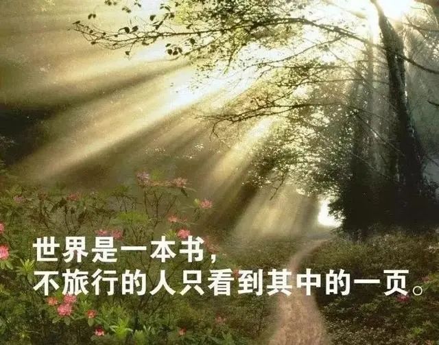 学会发现生活中的美,才能开心度过每一天