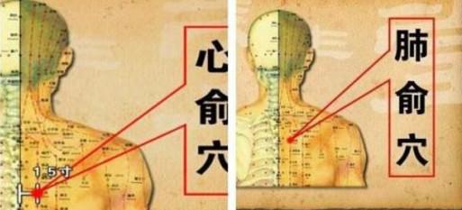 调理心脏疾病的几个穴位_艾灸
