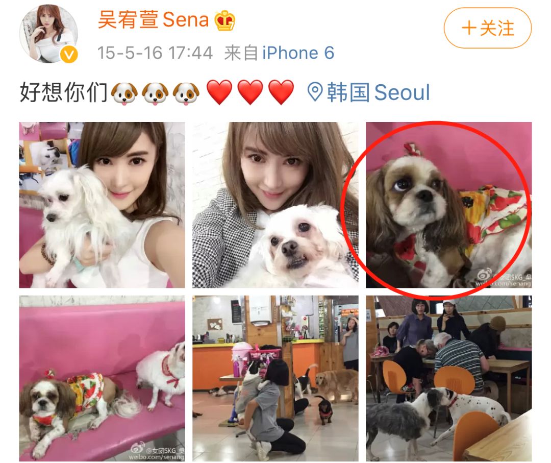 吴宥萱和小五还有很多私下里的合影,至上励合其他成员应该也都知道她