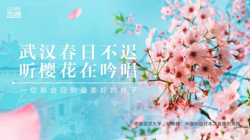 武汉大学樱花开了！来QQ音乐直播间“在线赏樱”_任芯仪