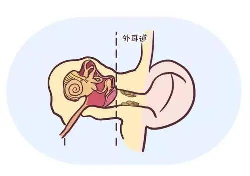 宝宝@后果不可估量！宝宝耳屎需要掏吗？清洁方法不对