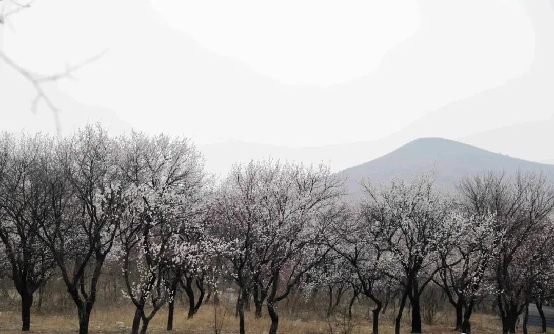 【青春烈山第759期】眼里的烈山美爆了！