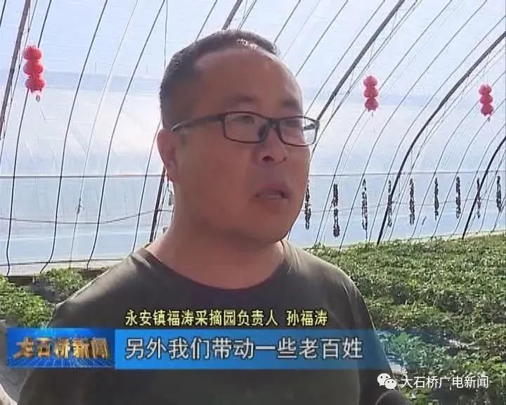 永安镇福涛采摘园负责人 孙福涛我们通过产业扶贫创业,通过入股的形式