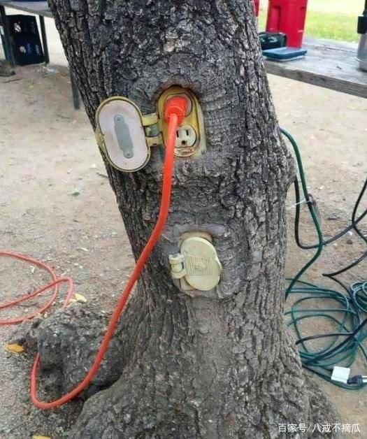 每日一笑：绿色充电，节能环保，好担心树烧起来啊！_段子