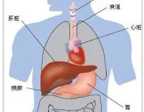 原创疫情期间肝硬化患者如何预防上消化道出血