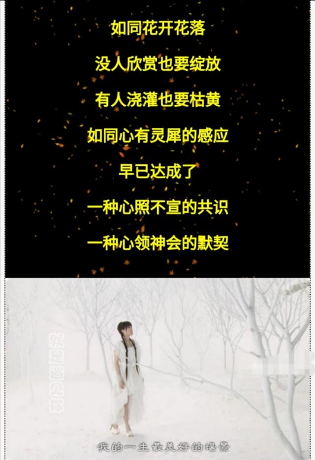 红尘遇见你简谱_我在红尘中遇见你简谱(3)