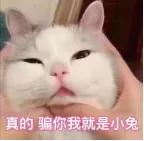 『高数』不得不服！考研贼辛苦的10大专业：第一是它