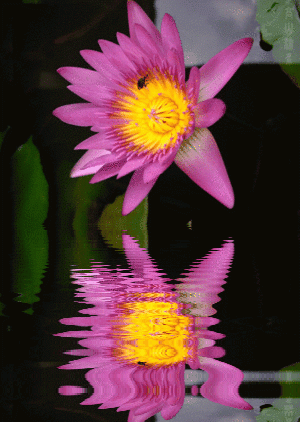 300_422 竖版 竖屏