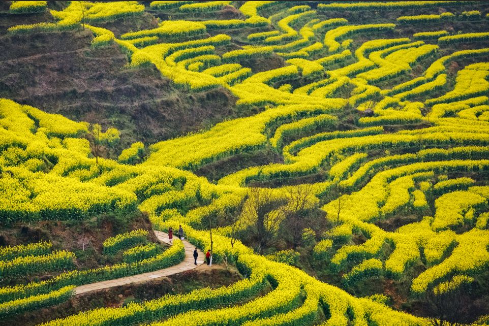 天下长河一万亩 0875e9ee30f34081a4f46e1f9896d836.jpeg