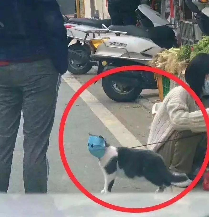 冰虫匠人口罩_戴口罩的卡通图片
