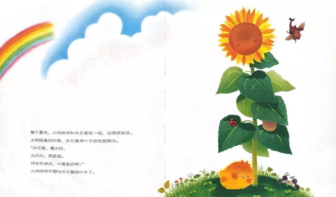 推荐绘本《小鸡球球和向日葵》