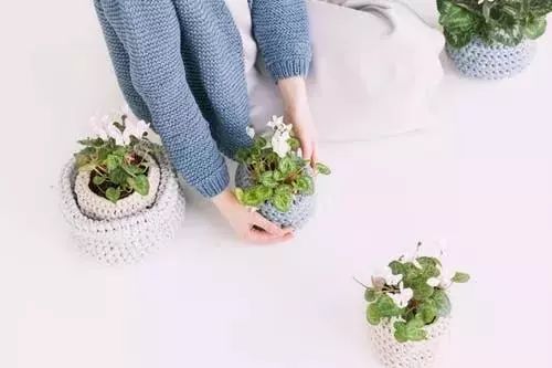 文章配图-8