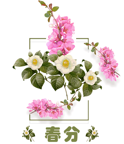 10,春分到,转换了季节;天渐暖,火红了岁月;水长流,带走了烦忧;阳光照