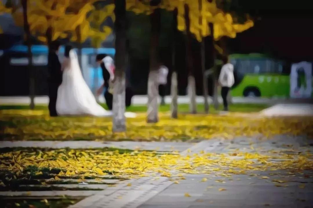 「孩子」一不小心毁高考！家长应该这样做高三考生的心理“五大阶段”