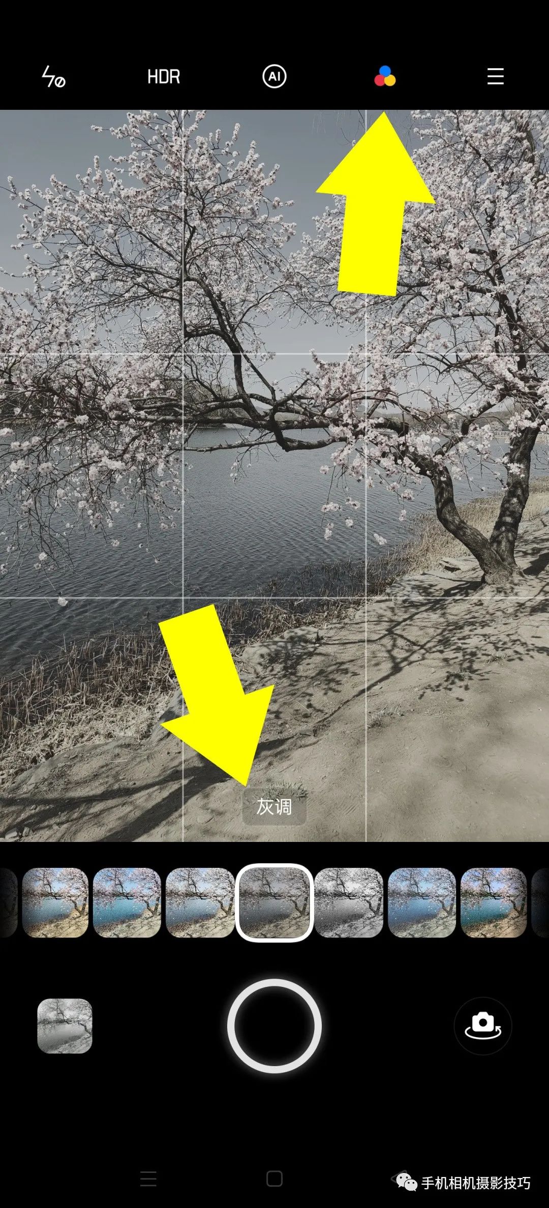 拍照怎么开滤镜 1d0dd726c6b2431f8a5ce9c2b43e9c7d.jpeg