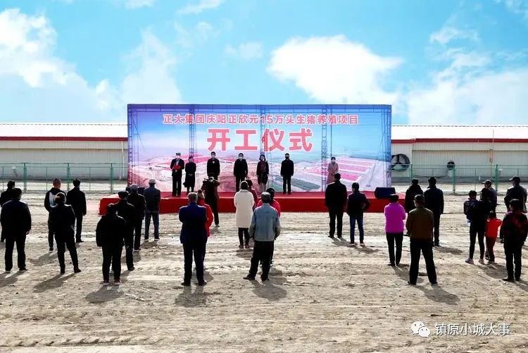 镇原:15万头生猪养殖项目(平泉,中原)基地开工