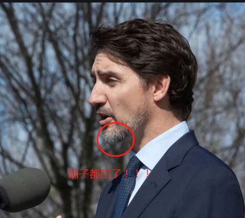 Hortons:特鲁多直播花絮曝光 因太冷冲入家披上大衣又回来
