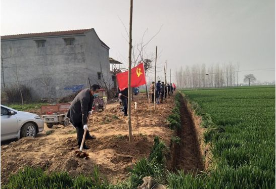 芒种桥乡简谱_芒种桥乡中心小学图片