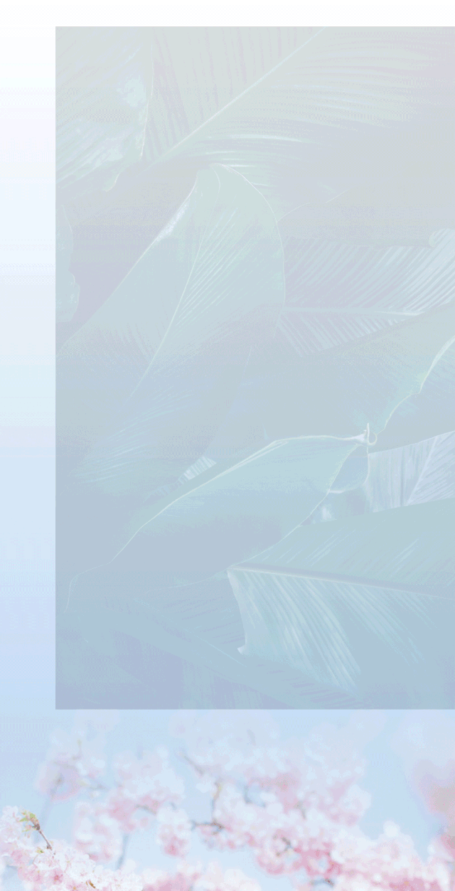 640_1253 竖版 竖屏