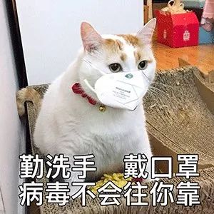 2c5783dc30784718bf0ac4d6c841685d.jpeg