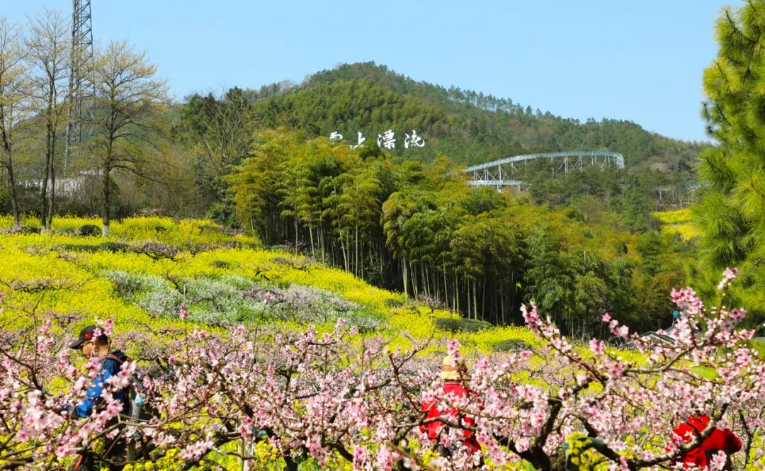 长兴城山沟第十二届桃花节今天开幕啦!